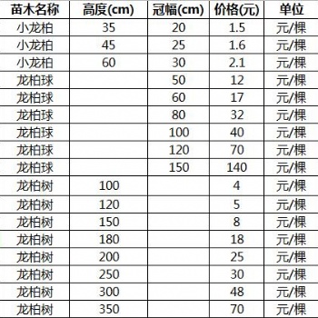 山东小龙柏_龙柏球_龙柏树的价格表