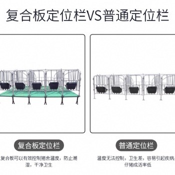 母猪定位栏2.5厚度限位栏猪用漏粪板复合板10母猪位产床保育两用