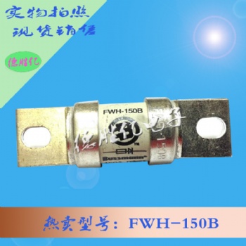 巴斯曼熔断器 FWH-150B 现货量多 欢迎订购