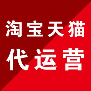 丽水淘宝代运营 靠谱推荐 实体大公司 济南惠购网络