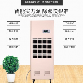 工业除湿机TE-168D