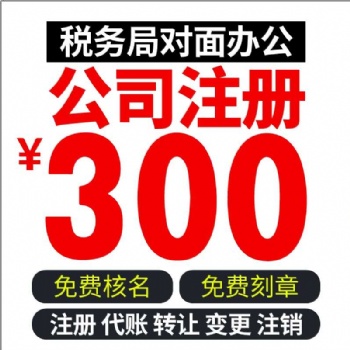 巢湖安居旁财务公司 加急代办注册公司 代账专业细致