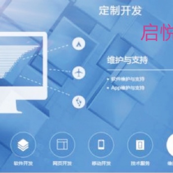 专业定制网站APP小程序