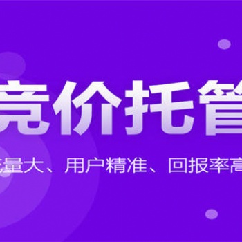 广东竞价托管外包代运营公司