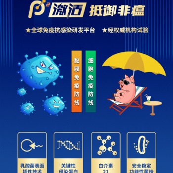 P2激活，全面激活抵御非瘟病毒的黏膜免疫和细胞免疫防线！