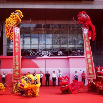 广西防城港振兴醒狮队