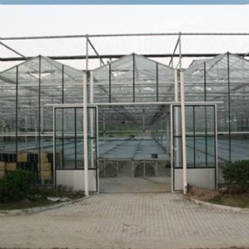 山东玻璃温室建设安装 玻璃大棚实景图 蔬菜大棚设计