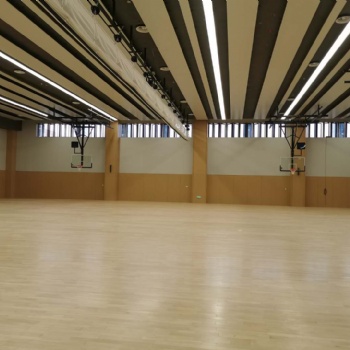 沧州体育运动木地板篮球馆羽毛球馆舞蹈教室实木地板 厂家