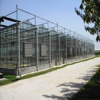 玻璃温室 现代化玻璃大棚 青州东阳温室玻璃温室设计 连栋玻璃温室