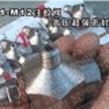 不锈钢高压注胶阀考克带压堵漏工具M12上海供应