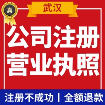 注册公司 武汉提供代理记账报税、财税疑难解答、纳税申报等服务