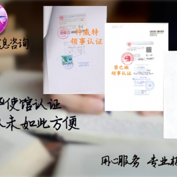 巴林领事认证验资报告·公司登记证·审计报告