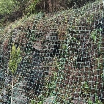 绿色植物攀爬网爬藤网山体挂网钢塑土工格栅