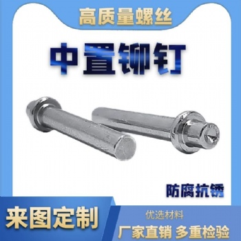 厂家批发铁镀锌 实心中置铆钉 实心铆钉 M3*25 可来样定制