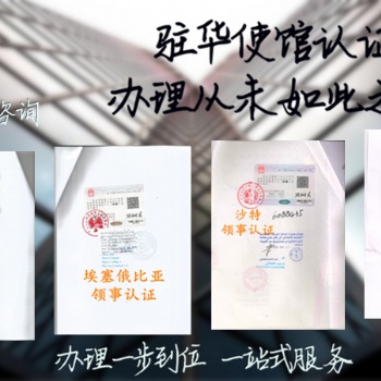 怎么作黎巴嫩使馆成本单认证@怎么作黎巴嫩使馆认证