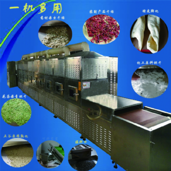 环保型食品微波干燥灭菌设备生产线
