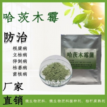 哈茨木霉生物菌剂腐熟剂根腐叶斑白粉病土传病克星原菌有机肥料菌剂厂家直供