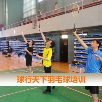 球形天下北京羽毛球培训