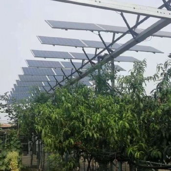广东晶天太阳能光伏板330W瓦72片林光互补太阳能电池组件
