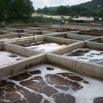 东莞养殖行业污水净化设施 动物排泄污水治理设备