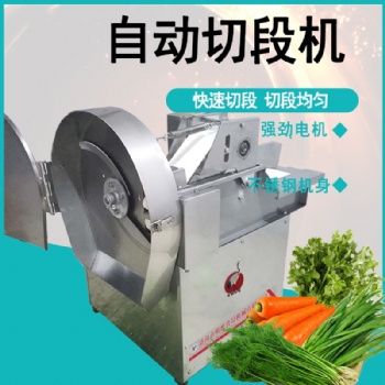 辣椒切段机切电动不锈钢多种类蔬菜茎菜韭菜茴香包子用切菜机商用