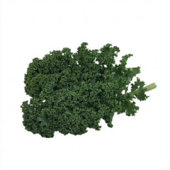 羽衣甘蓝新鲜果蔬健身轻食榨汁kale绿色蔬菜沙拉火锅西餐食材批发销售