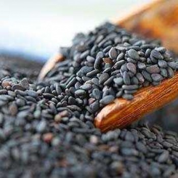 芝麻进口**我们经验丰富赶紧进口吧