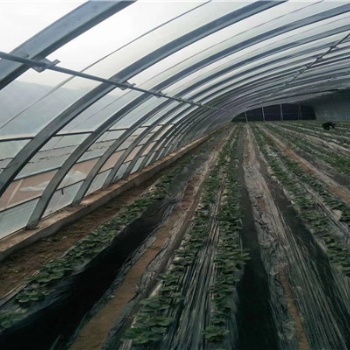 东北地区蔬菜养殖大棚材料几字钢骨架每平米的价格