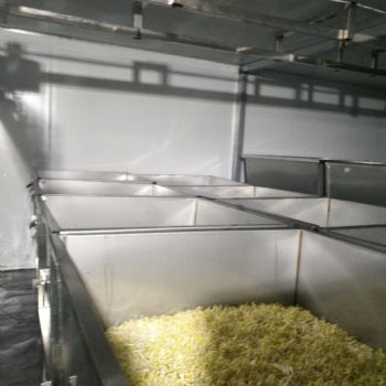 江西日产6000斤全自动豆芽生产线设备