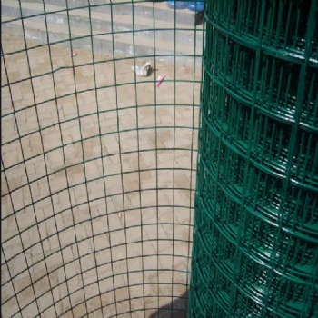 养殖绿色荷兰网 养鸡围栏网 公路波浪双边丝护栏果园