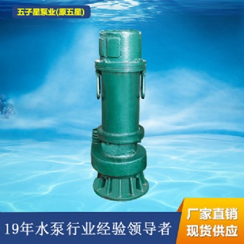 BQS40-40-11矿用隔爆型排污泵排水潜水电泵