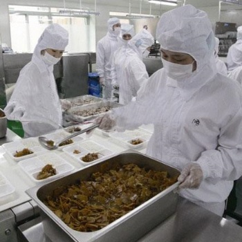 东莞南城食堂承包厨师要具备怎样的条件