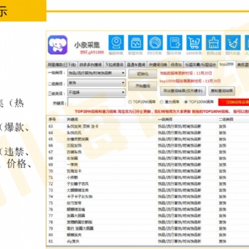 2021拼多多店群采集软件,一键上货拍单自动回复软件贴牌招商