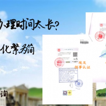 墨西哥使馆公司损益表认证办理需知@墨西哥周年申报表使馆认证 **服务