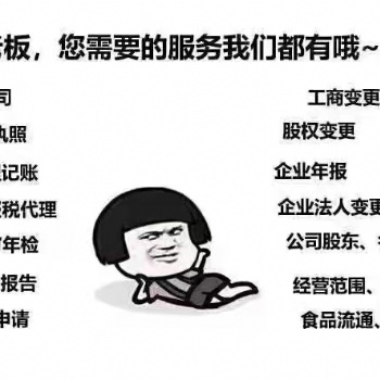 公司注册 代理记账高效 专业 可靠