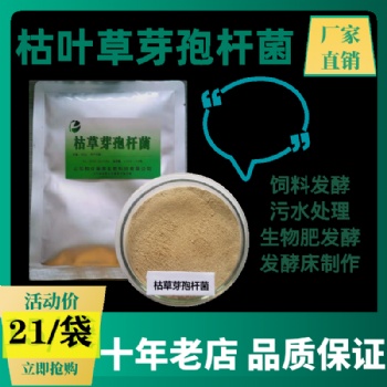 枯草芽孢杆菌动物饲料添加剂发酵剂水产养殖菌1000亿厂家**