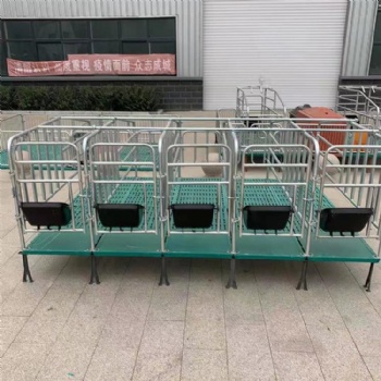 厂家直批母猪定位栏 热镀锌管限位栏 猪用落地式定位栏