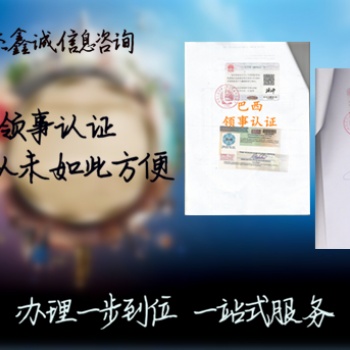 以色列大使馆双认证周年申报表