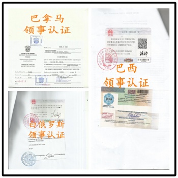 卢森堡领事登记表;产品分析证明认证