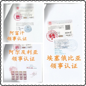 自由销售证明\TUV证书苏里南使馆认证