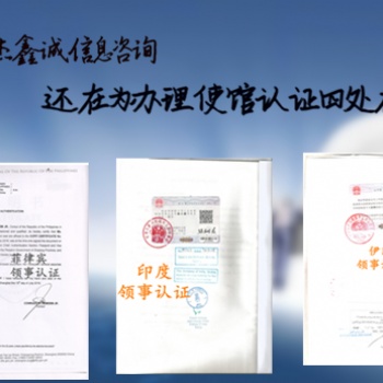 银行资信领事双认证、德国领事银行资信双认证