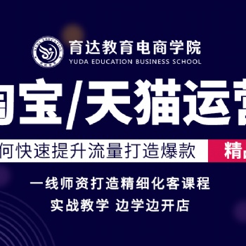 电商运营培训哪家好淘宝培训学校电商营销实战学习育达