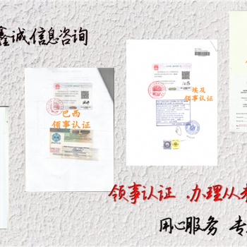 安道尔代理要求办理领事双认证周年申报表·验资报告