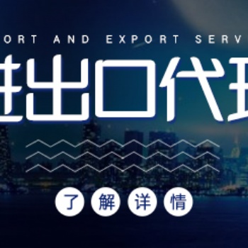 虚拟软件如何办理进口**