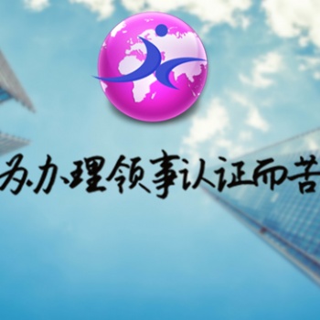 斯里兰卡大使馆审计报告-公司简介认证