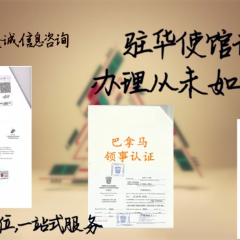 印尼领事馆签章公司章程+审计报告