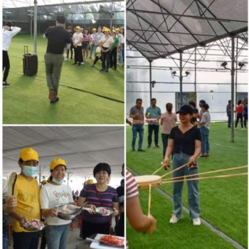深圳周边自己做饭野炊烧烤一日游，公司聚会团建好地方