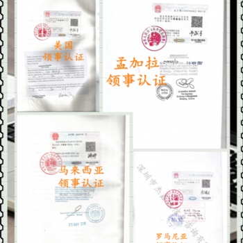 斐济领馆加签银行资信&审计报告