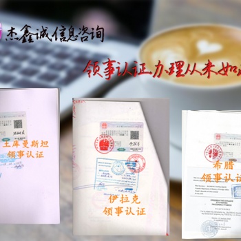 公司损益表*毛里求斯需要领事馆签章