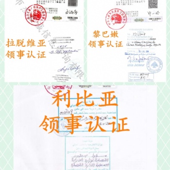 香港公司如何办理南非大使馆签章董事名单·南非领事馆认证 专业高效